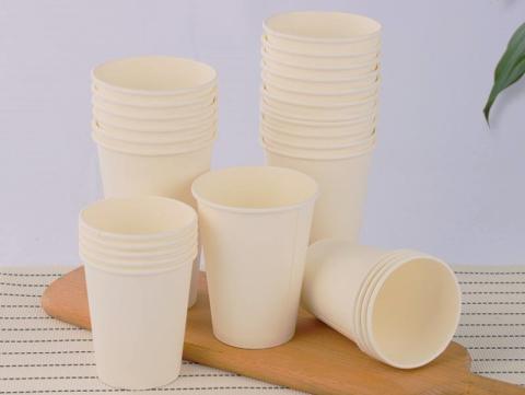 paper cup