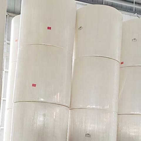 Toilet Paper Jumbo Roll