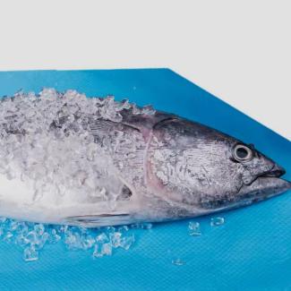 Seafood absorbent pads