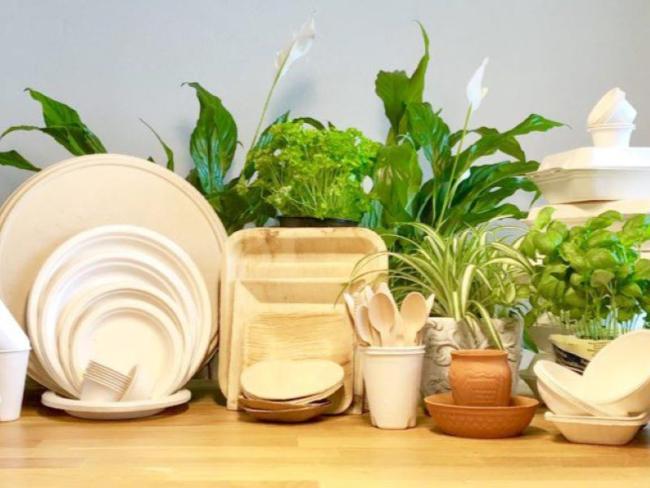 Biodegradable Plastics tableware