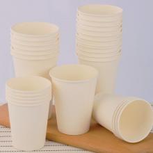 paper cup