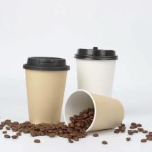 Biodegradable coated paper cup