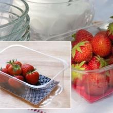 fruit absorbent pad