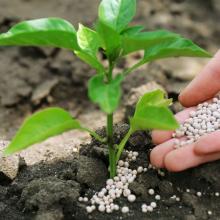 PHA slow-release fertilizers