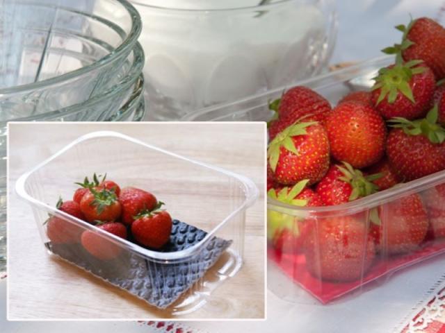 fruit absorbent pad